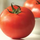 대화키즈태권도 이미지