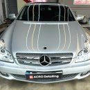 아크로 디테일링 이미지