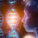 메디엠스 이미지