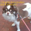 보노보노헤어샵