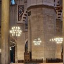 고양이랑 이미지