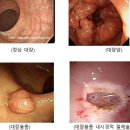 와대장