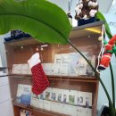 생활영어회화(중급) 이미지