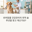 웰니스클리닉동물병원 | 반려동물 건강관리, 펫 보험과 클리닉 조합의 최적 솔루션