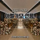 아펠가모 선릉점 후기, 선릉역 예식장 뷔페와 홀 분위기 정리