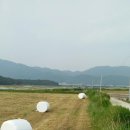 평지 공인중개사사무소 이미지