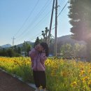 사인암472 이미지