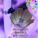 박서방 Daum카페