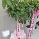 김지용치과의원 | 교통사고 입원치료 무척바른한방병원 개원을 축하해 주신 분들 소개 (3편)