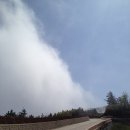 석포 | 울릉도 해담길 3코스 안용복기념관~석포 산장~내수전 일출 전망대 4.8km