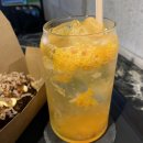 도그에이드 이미지