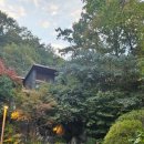 평동로 | 충북_제천) 가을 제천여행 포레스트 리솜_포레스트 S25 느루길 12동 1호 내돈내산 재방문 후기