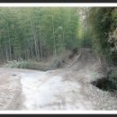 성도리석불입상 이미지