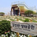 강진군 남포축구장 | 🌊 강진만 생태공원: 자연과 문화의 조화로운 쉼터 🦅