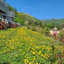 테마파크 펜션 이미지