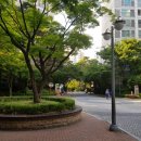 푸른숲상도