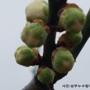 봉양1길 이미지