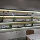 (주)아트쉐어 | LG아트센터 마곡 음식점 애즈라이크 내돈내산