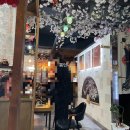 사시미로또오센