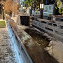 조형물F | 천안수족관 팀아쿠아 솔직 후기 수조 생물과 카페 메뉴까지