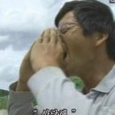 안녕하신지 | 다들 안녕하신지