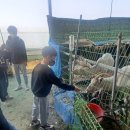 산새소리유치원+금샘어린이집 이미지