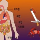 암 사망의 30%가 흡연 때문…오래 살려면 금연해야 이미지