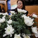 백마축산 이미지