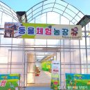 난전농장 이미지