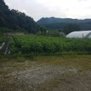 재관농장 이미지