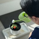 발리펫 | 발리 여행 DAY1 : 제주항공 7C5303 좌석, 입국 전자비자, 발리공항 픽업 예약 서비스