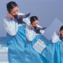 꿈꾸는 나비 이미지