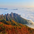 진안-진안-비상-02 이미지