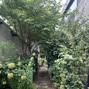 온다풀빌라 | 가평 춘천 펜션 온다 풀빌라 스텔라 내돈내산