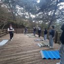 치유의숲 이미지