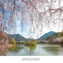 영산 만년교 이미지