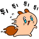 세실스토어