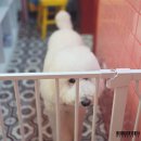 펜타클(PENTACLE) | 대전 예쁜 카페 펜타클 타로펍 │ 타로 잘 보는 감성 칵테일맛집, 데이트추천카페