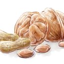 본앤미의원 이미지