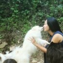 마치집인냥 이미지