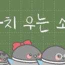 아씹할 피너툰 소장 많이 했는데;; 이미지