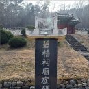 벽오사 이미지