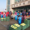 사랑포도원