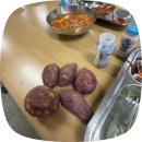 (주)한국비임상기술지원센터 | 251201~260101