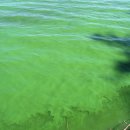 금강페인트 이미지