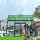 모모라면 이미지