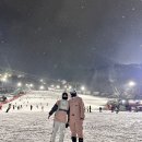 렌탈파크 | [홍천/비발디파크] 가까운 렌탈샵 내돈내산 후기