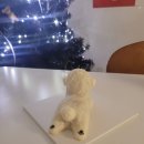 댕댕레시피 | [부산 강아지수제간식 원데이클래스, 반려견과의 특별한 하루] :: 댕댕분식