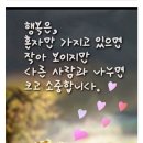 서호동-28 | 서귀포 제28회 유채꽃 국제걷기 축제 오픈 스타트10KM완주~~~!