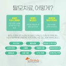 자연히